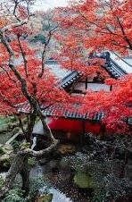 2019比分网足球比分-2019年足球比分网全景回顾，数据狂潮下的战术革命与球迷狂欢
