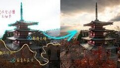 森林的舞会作文300字-森林的舞会